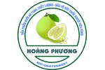 HKD cơ sở sản xuất kinh doanh bưởi Hoàng Phương