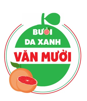 Bưởi