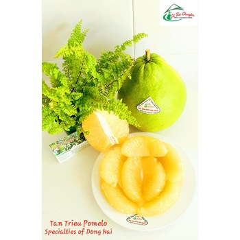 Bưởi Đường Lá Cam_Sản phẩm OCOP Huyện Vĩnh Cửu (Bưởi Tân Triều đặc sản Đồng Nai)