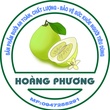 HKD cơ sở sản xuất kinh doanh bưởi Hoàng Phương