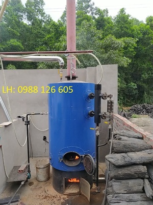 Nồi hơi đốt than củi công suất 100kg/h