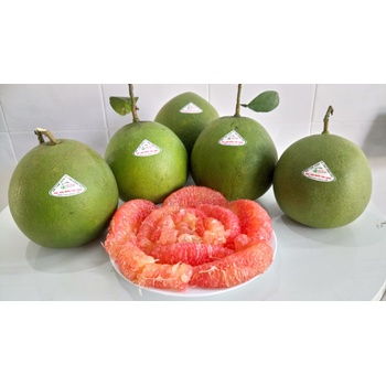 Thùng Bưởi Da Xanh (12 trái size 1)_OCOP Huyện Vĩnh Cửu