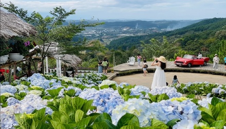 KDL sinh thái cao nguyên hoa Đà Lạt