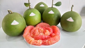 Thùng Bưởi Da Xanh (12 trái size 1)_OCOP Huyện Vĩnh Cửu